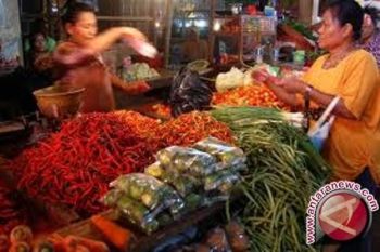 Harga cabai di Kota Jayapura capai Rp100 ribu/kilogram