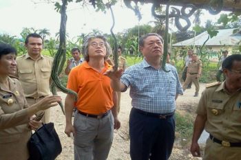 Investor Korea Tinjau Lahan Pertanian Di Sultra 
