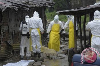 Kasus Baru Di Sierra Leone Picu Peningkatan Korban Ebola