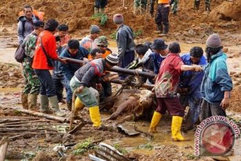 Presiden Prioritaskan Evakuasi Korban Longsor Banjarnegara