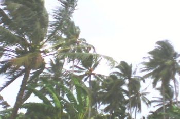11 rumah Gunung Kidul rusak diterjang angin 