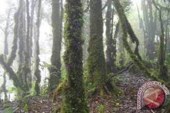 Warga Sekitar Gunung Lumut Dilatih Jurnalistik Lingkungan 