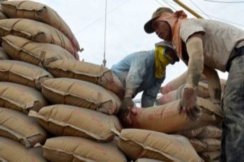 Kabag Perekonomian: penurunan harga semen di Jayawijaya bukan karena subsidi 