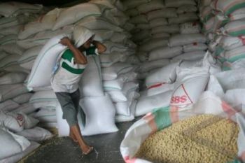 Rupiah Mulai Menguat, Harga Kedelai Impor Turun