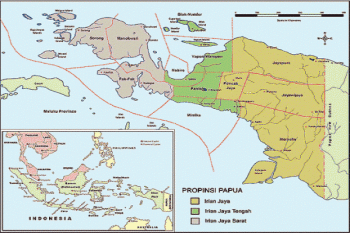 Kapolda Papua: Jayawijaya kondusif pascabentrok antarwarga