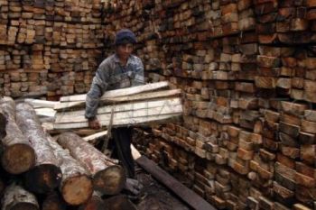 Perekonomian Asia Melemah, Perusahaan Kayu Pangkas Jam Lembur