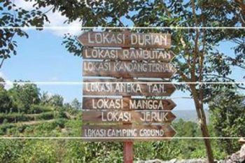 Penarikan retribusi wisata pantai tanpa kendala