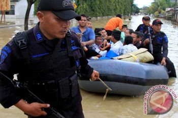 Napi di Tamiang yang dilepaskan diminta kembali