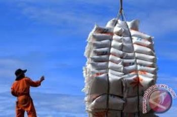 Pengadaan Beras Dalam Negeri Bulog 84 Persen