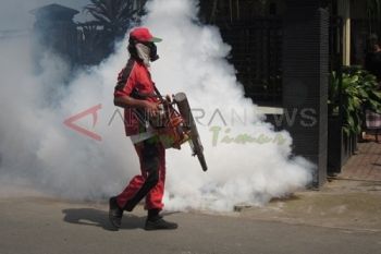 Fogging Deman Berdarah