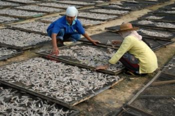 Terkendala Proses Pengeringan