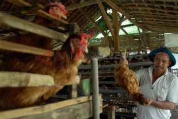 Dampak Peralihan Musim