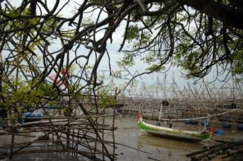 Beralih Gunakan Bagan