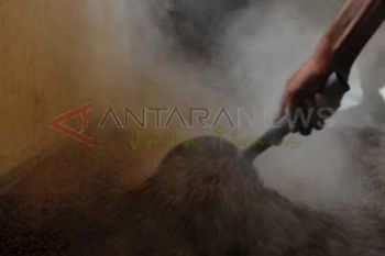 Harga Kopi Ekspor Lebih Tinggi