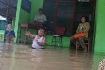 Banjir di Rohul Rendam Ratusan Hektare Padi