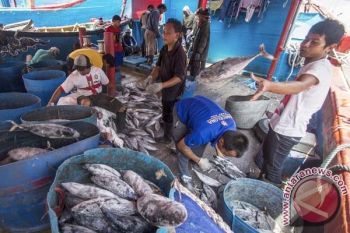 Menkop: Nelayan Itu Urusan Bu Susi