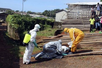 WHO Sebut Virus Ebola Sudah Renggut  Hampir 8.000 Jiwa