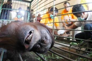 Liburan, Jumlah Wisatawan TSTJ Lampaui Target 