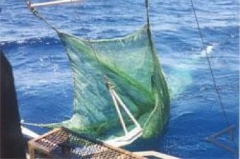 Nelayan Cilacap Dukung Larangan Penggunaan Jaring Trawl