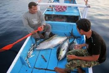Dua nelayan Jayapura dikabarkan hilang saat melaut