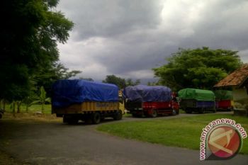Polres Lombok Timur Amankan Empat Truk Bermuatan Kayu