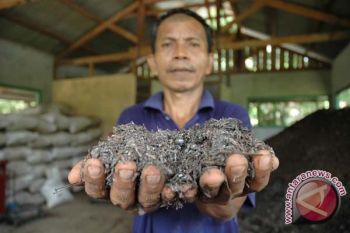 Jaga Kesuburan, Petani Mulai Gunakan Pupuk Organik
