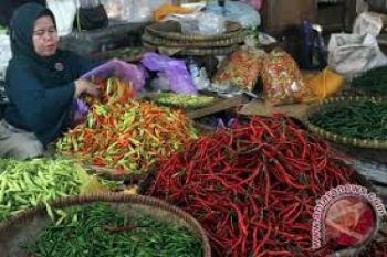 Pasokan Meningkat Harga Cabai Turun