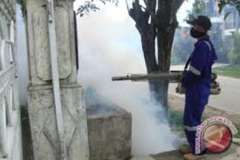 Dinkes Solo Janji Lakukan Pengasapan di Clolo