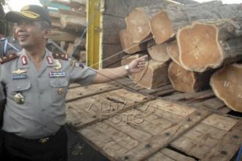 Angkut Kayu Jati Ilegal, Tiga Warga Kudus Ditangkap