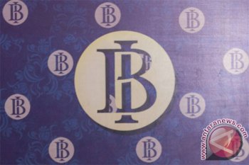 Government needs instant foreign exchange source: BI