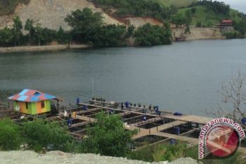 Puluhan rumah di pinggiran Danau Sentani terendam air 
