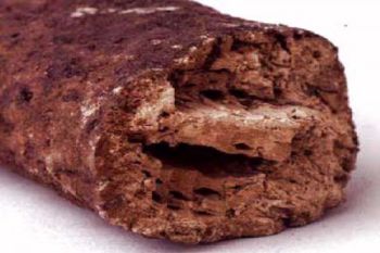 Akademisi: konservasi "waterlogged wood" belum serius 