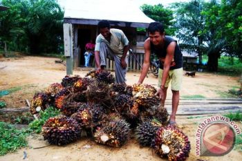 Derita TKI Tidak Digaji dan Dideportasi