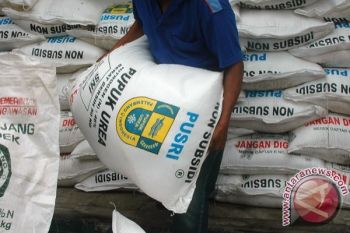 Kuota Pupuk Bersubsidi Cilacap Meningkat