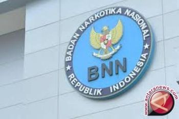 BNN Papua tangkap pengedar dan pemakai ganja