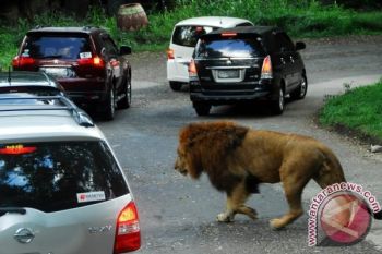 Jateng Park Terganjal Kerja Sama Pemanfaatan Lahan