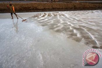 Menteri Susi Bidik Swasembada Garam