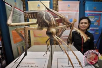 Kabupaten Pekalongan KLB Demam Berdarah, Tiga Meninggal