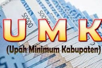 UMK Jayapura 2015 naik tiga persen