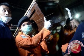 Dua Korban Airasia Ditemukan di Perairan Majene 