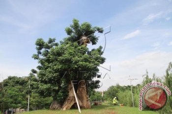 Pengadaan Pohon Seharga Rp. 750 Juta