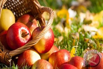 Pemkab Seruyan Bentuk Tim Pantau Buah Impor 