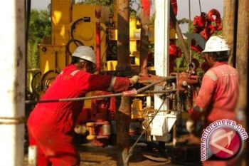 BPTMP: Investor asing lebih memilih sektor pertambangan Papua