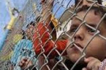 Negara-Negara Arab Dorong Resolusi Baru Palestina