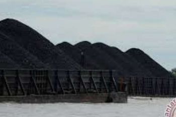 BMPD Riau Tawarkan Investasi Batu Bara