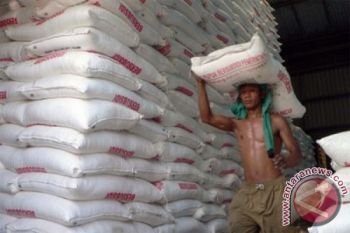 Petani Diminta Waspadai Pupuk Tak Berkualitas