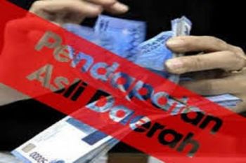 Realisasi PAD Papua sampai Mei 2015 capai Rp295 miliar