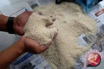 BKP NTB: Kualitas Raskin Jadi Temuan BPK