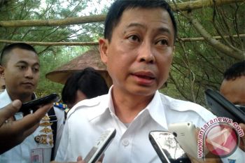 Menhub minta maskapai sediakan mesin gantikan loket