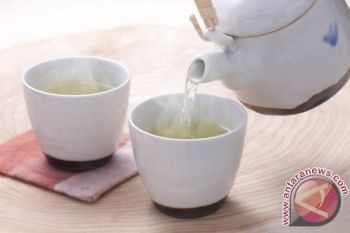 Pakar: teh dapat dikreasikan jadi minuman modern